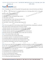 Đề thi thử THPTQG 2019 môn Sinh  THPT Chuyên Bắc Ninh lần 1