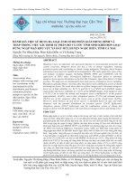 ĐÁNH GIÁ VIỆC SỬ DỤNG BA LOẠI ẢNH CÓ ĐỘ PHÂN GIẢI TRUNG BÌNH VÀ THẤP TRONG VIỆC XÁC ĐỊNH SỰ PHÂN BỐ VÀ ƯỚC TÍNH SINH KHỐI BỐN LOẠI RỪNG NGẬP MẶN KHU VỰC XÃ ĐẤT MŨI, HUYỆN NGỌC HIỂN, TỈNH CÀ MAU