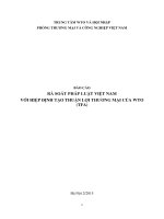 BÁO CÁO RÀ SOÁT PHÁP LUẬT VIỆT NAM VỚI HIỆP ĐỊNH TẠO THUẬN LỢI THƢƠNG MẠI CỦA WTO (TFA)