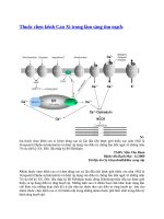 Tài liệu_Thuốc chẹn kênh Can Xi trong lâm sàng tim mạch