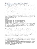 Tính độ võng sàn trong thực hành thiết kế với SAFE