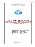 BÁO CÁO THỰC TẬP TỐT NGHIỆP NHÂN VIÊN PHỤC VỤ VÀ BÁN HÀNG FAST FOOD TẠI NHÀ HÀNG LAPENSEE THUỘC CÔNG TY CỔ PHẦN DỊCH VỤ CÁP TREO BÀ NÀ HILLS