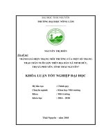 Đánh giá hiện trạng môi trường của một số trang trại chăn nuôi lợn trên địa bàn xã Minh Đức, thị xã Phổ Yên, tỉnh Thái Nguyên (Khóa luận tốt nghiệp)