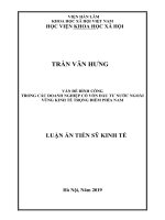 Vấn đề đình công trong các doanh nghiệp có vốn đầu tư nước ngoài vùng kinh tế trọng điểm phía nam