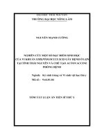Nghiên cứu một số đặc điểm sinh học của vi khuẩn streptococcus suis gây bệnh ở lợn tại tỉnh thái nguyên và chế tạo autocvaccine phòng bệnh tt tiếng anh 