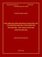 Hoạt động ban hành văn bản quy phạm pháp luật của hội đồng nhân dân, ủy ban nhân dân tỉnh điện biên   thực trạng và giải pháp nâng cao hiệu quả  