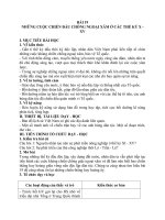 Giáo án Lịch sử 10 bài 19: Những cuộc kháng chiến chống ngoại xâm ở các thế kỷ X  XV