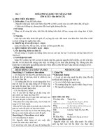 Giáo án Lịch sử 11 bài 5: Châu Phi và khu vực Mỹ Latinh (Thế kỷ XIX  đầu thế kỷ XX)