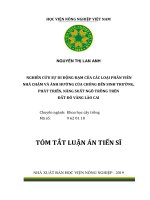 Nghiên cứu sự di động đạm của các loại phân viên nhả chậm và ảnh hưởng của chúng đến sinh trưởng, phát triển, năng suất ngô trồng trên đất đỏ vàng lào cai tt 