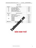 SKKN   rèn luyện kỹ năng giải phương trình vô tỉ và một số giải pháp giúp học sinh khắc phục sai lầm trong giải phương trình vô tỉ image marked 