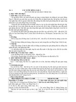 Giáo án Lịch sử 11 bài 4: Các nước Đông Nam Á (Cuối thế kỷ XIX  đầu thế kỷ XX)