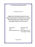 Nghiên cứu sự di động đạm của các loại phân viên nhả chậm và ảnh hưởng của chúng đến sinh trưởng, phát triển, năng suất ngô trồng trên đất đỏ vàng lào cai 
