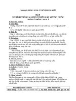 Giáo án Lịch sử 10 bài 8: Sự hình thành và phát triển các vương quốc chính ở Đông Nam Á