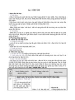 Giáo án Lịch sử 11 bài 1: Nhật Bản