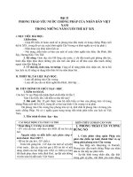 Giáo án Lịch sử 11 bài 21: Phong trào yêu nước chống Pháp của nhân dân Việt Nam trong những năm cuối thế kỷ XIX