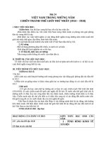 Giáo án Lịch sử 11 bài 24: Việt Nam trong những năm chiến tranh thế giới thứ nhất (1914  1918)