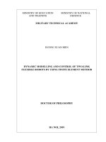 Khảo sát động lực học và điểu khiển vị trí của tay máy hai khâu đàn hồi phẳng theo phương pháp phần tử hữu hạn 