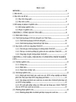 BCTKĐT: Xây dựng mô hình sản xuất rau an toàn theo tiêu chuẩn VietGap