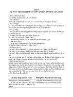 Giáo án Lịch sử 10 bài 7: Sự phát triển lịch sử và nền văn hóa đa dạng của Ấn Độ