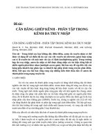 CÂN BẰNG GHÉP KÊNH PHÂN tập TRONG KÊNH đa TRUY NHẬP