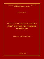 Pháp luật về bảo hiểm thất nghiệp và thực tiễn thực hiện trên địa bàn tỉnh lạng sơn  
