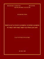 Pháp luật an toàn lao động, vệ sinh lao động từ thực tiễn thực hiện tại tỉnh lạng sơn  