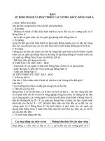 Giáo án Lịch sử 10 bài 8: Sự hình thành và phát triển các vương quốc chính ở Đông Nam Á