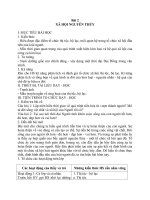 Giáo án Lịch sử 10 bài 2: Xã hội nguyên thủy