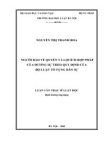 Người bảo vệ quyền và lợi ích hợp pháp của đương sự theo quy định của bộ luật tố tụng dân sự  