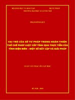 Vai trò của sở tư pháp trong hoàn thiện thể chế pháp luật cấp tỉnh qua thực tiễn của tỉnh điện biên   một số bất cập và giải pháp  