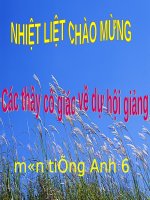 Unit 02 my home lesson 7 looking back  project (1) 