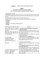 Giáo án Lịch sử 10 bài 8: Sự hình thành và phát triển các vương quốc chính ở Đông Nam Á