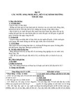 Giáo án Lịch sử 10 bài 35: Các nước Anh, Pháp, Mỹ và sự bành trướng thuộc địa