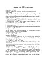 Giáo án Lịch sử 10 bài 3: Các quốc gia cổ đại phương Đông