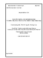 Nghiên cứu đặc điểm huyệt thận du và hiệu quả của điện châm trong điều trị đau thắt lưng thể thận hư 