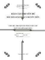 CHỦ ĐỀ: TRUYỆN CỔ TÍCH TẤM CÁM NGỮ VĂN LỚP 10