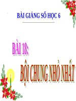 Bài giảng Số học 6 chương 1 bài 18: Bội chung nhỏ nhất