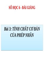 Bài giảng Số học 6 chương 3 bài 3: Tính chất cơ bản của phân số
