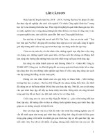 Quy trình nuôi ấu trùng ruồi lính đen (Hermetia illucens) tại nông trại An Phú