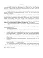 Đặc điểm lâm sàng, chẩn đoán hình ảnh và kết quả phẫu thuật tạo hình cung sau sử dụng nẹp vít điều trị bệnh hẹp ống sống cổ do thoái hóa tt tiếng anh 