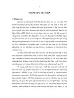 Nghiên cứu điều trị ung thư dạ dày giai đoạn sớm và loạn sản niêm mạc dạ dày độ cao bằng kỹ thuật cắt tách dưới niêm mạc qua nội soi 