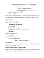 CHUYÊN ĐỀ: TIÊU HÓA Ở ĐỘNG VẬT