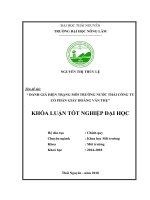 Đánh giá hiện trạng môi trường nước thải công ty cổ phần giấy Hoàng Văn Thụ (Khóa luận tốt nghiệp)