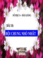 Bài giảng Số học 6 chương 1 bài 18: Bội chung nhỏ nhất
