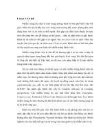 Đặc điểm dịch tễ học lâm sàng nhiễm trùng do nấm ở trẻ sơ sinh và điều trị dự phòng nấm bằng fluconazole cho trẻ đẻ non 