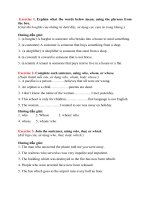 language focus unit 9 lớp 11