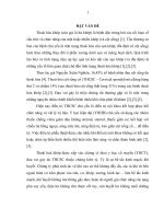 ĐÁNH GIÁ tác DỤNG điều TRỊ ĐAU VAI gáy DO THOÁI hóa cột SỐNG cổ BẰNG PHƯƠNG PHÁP cấy CHỈ CATGUT vào HUYỆT 