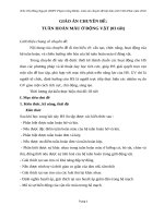 GIÁO ÁN CHUYÊN ĐỀ: TUẦN HOÀN MÁU Ở ĐỘNG VẬT