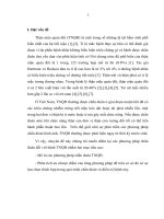 MÔ tả và bàn LUẬN về các PHƯƠNG PHÁP CHẨN đoán với BỆNH lý THẬN NIỆU QUẢN đôi 