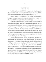 ĐÁNH GIÁ TÁC DỤNG CỦA điện CHÂM điều TRỊ CHỨNG THẤT NGÔN DO XUẤT HUYẾT ở BÁN cầu đại NÃO SAU GIAI ĐOẠN cấp 